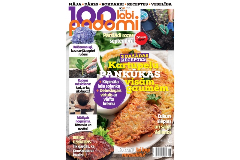 Žurnāla “100 labi padomi” 12 mēnešu abonements